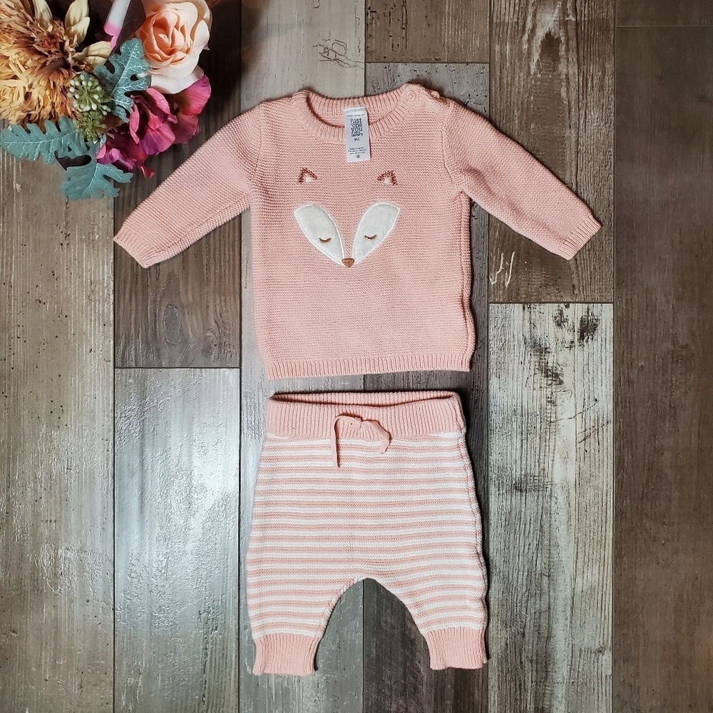 Carter's Matching Pink and White Fox 2 Pc Set Striped Pants 3 Months 3M NWOT